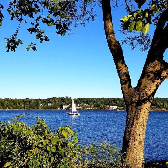 51-110 HUGE Scarf Clearance Mon 10/13 7pm EST w/ @j_dcollectibles Many thanks!! - Picture 1 of 1